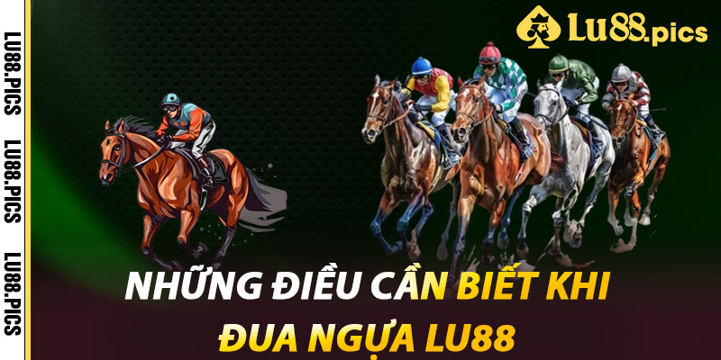 Những Điều Cần Biết Khi Đua Ngựa LU88